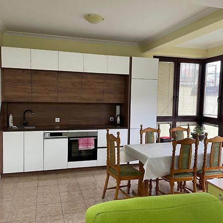 Huge Apartment With A Garden In The City Center 프리슈티나 외부 사진