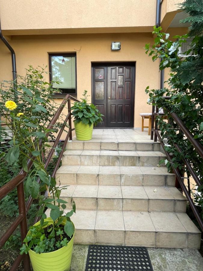 Huge Apartment With A Garden In The City Center 프리슈티나 외부 사진