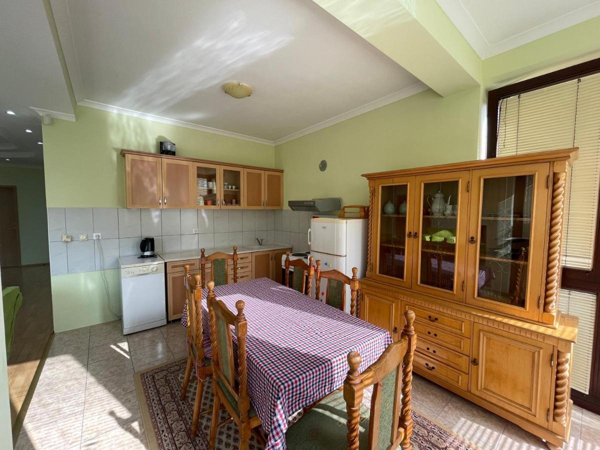 Huge Apartment With A Garden In The City Center 프리슈티나 외부 사진