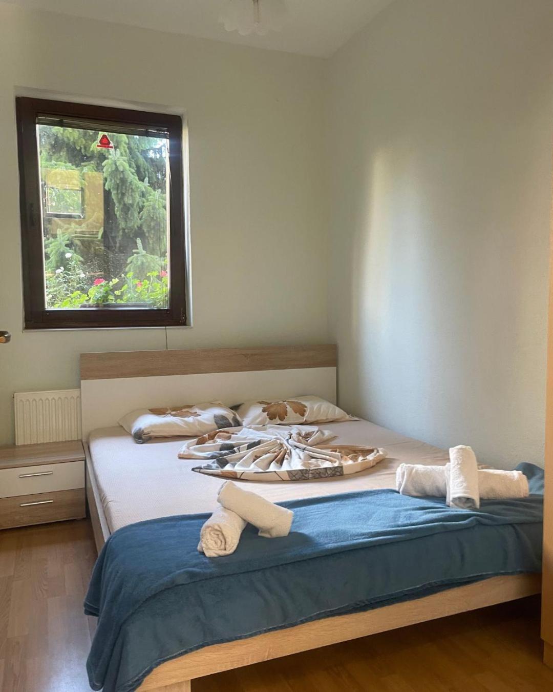 Huge Apartment With A Garden In The City Center 프리슈티나 외부 사진